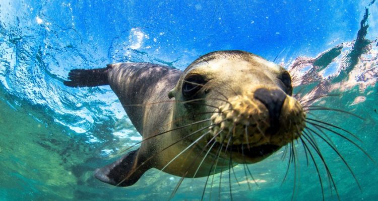 Flight deals from London, UK to Quito and Guayaquil, Ecuador and the Galapagos Islands | Secret Flying