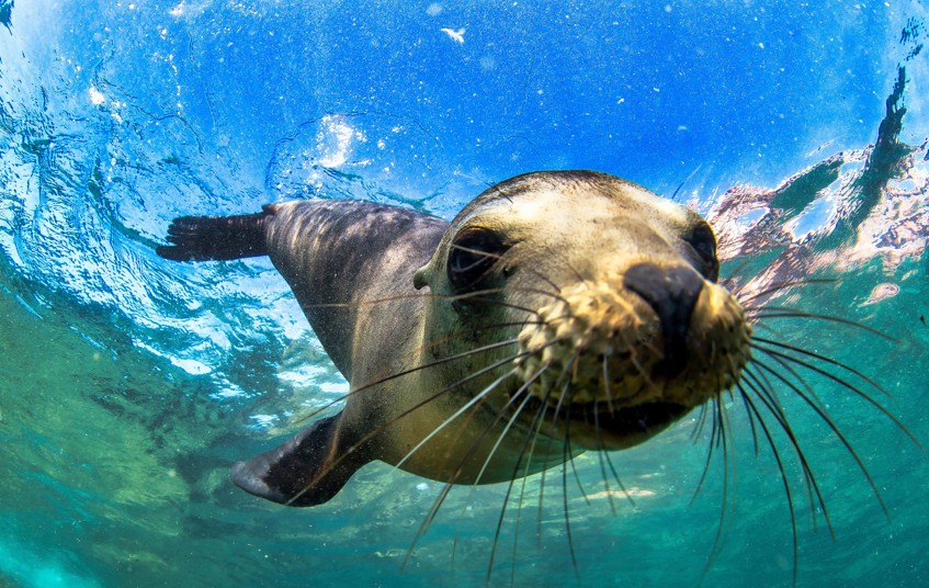 3 IN 1 TRIP: London, UK to Ecuador & the Galapagos Islands for only £567 roundtrip