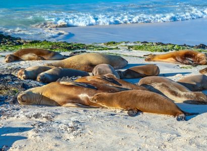 Flight deals from Miami to the Galapagos Islands | Secret Flying